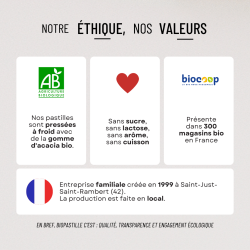 Bio Pastilles Kudzu Menthe douce – alternative naturelle au geste de fumer