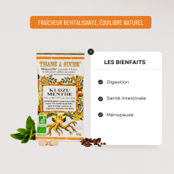 Bio Pastilles Kudzu Menthe douce – alternative naturelle au geste de fumer