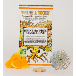 Reine-des-prés-Mandarine