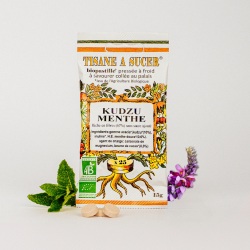 Bio Pastilles Kudzu Menthe douce – alternative naturelle au geste de fumer