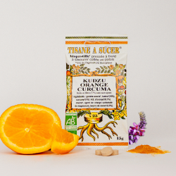 Bio pastilles Kudzu-Orange-Curcuma - alternative naturelle au geste de fumer